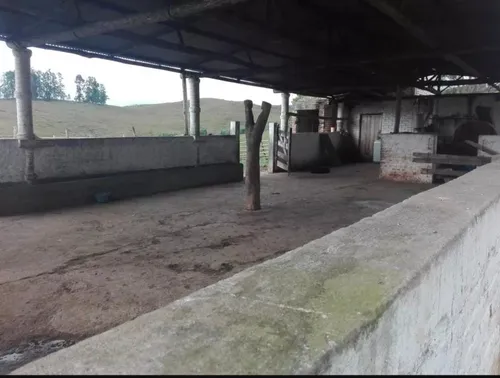 Vendo Finca Ganadera En Restrepo Valle