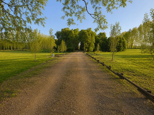 Exclusivo Condominio De Parcelas, A Solo 8 Km De Osorno