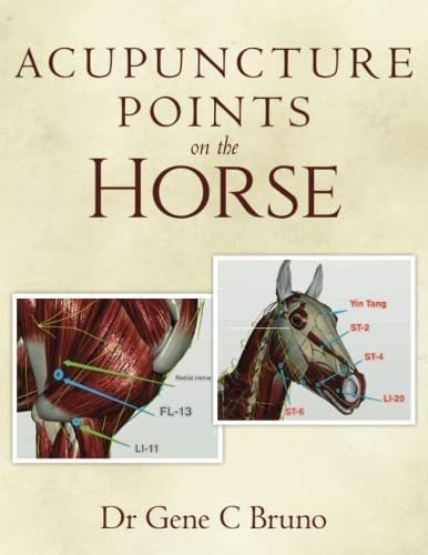 Libro:  Acupuncture Points On The Horse