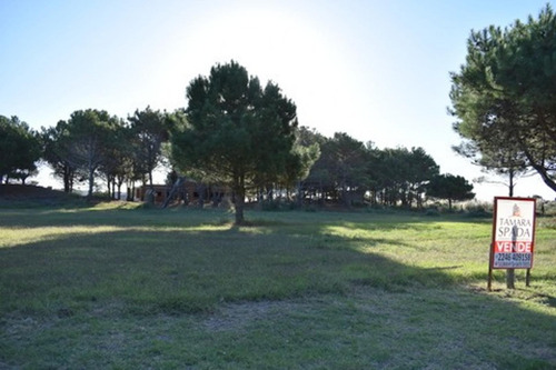 Imagen 2 de 6 de Lote Jagüel Del Medio-club De Mar-