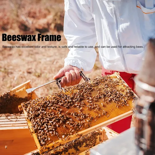 Láminas De Cera De Abejas Natural – 10 Piezas De Panal De 13x9 Cm, Para Velas, Pulido De Muebles Y Atraer Abejas