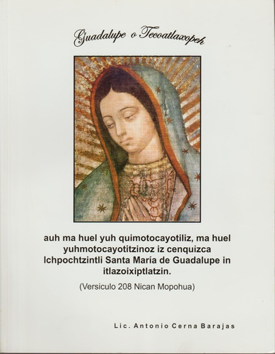 Guadalupe O Tecoatlaxopeh - Cerna Barajas (contemporáneos)