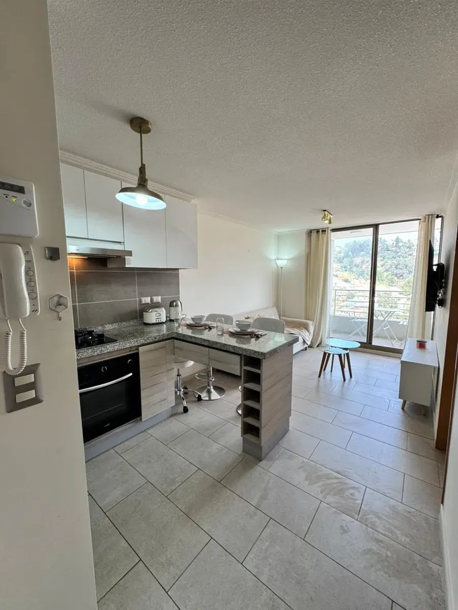 Imagen 4 de 18 de Arriendo Depto 1 Habitación Gustavo Fricke Viña Del Mar