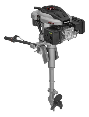 Motor Para Barco De Popa Gasolina 6,5 Hp Rabeta Vertical Mtg