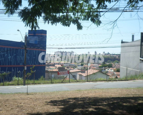 Imagem 5 de 5 de Terreno À Venda No Jardim Chapadão Em Campinas - Te03903 - Te03903 - 70182448