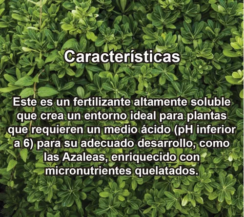 Fertilizante Especial Para Azaleas Por 50 Gr (rinde 12,5 L)