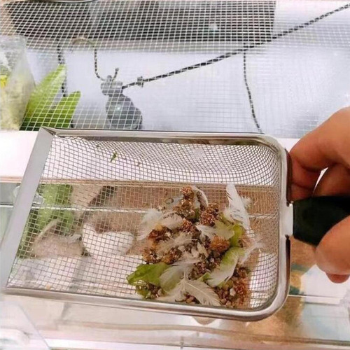A Pala Metálica De Acero Inoxidable Para Arena De Gatos