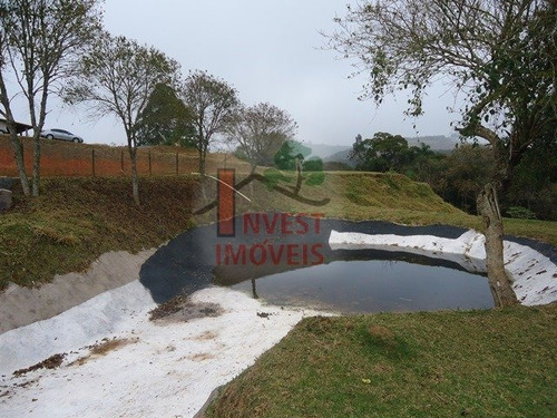 Imagem 3 de 15 de Chacara - Ref: 6115 - V-6115
