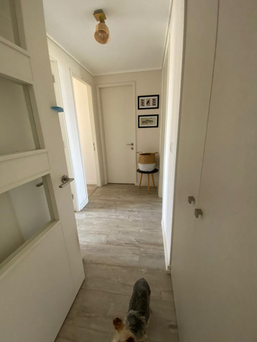 Arriendo Depto 3h2b1e1b Bosque De Montemar A Pasos De Colegi