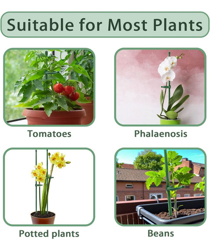 Soporte Para Plantas, Soporte Para Flores, Orquídeas, 10 Uni