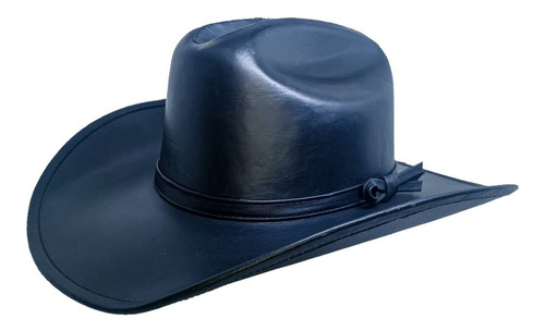 Sombrero Texana Piel Genuina De Res Caballero Color Negro 03