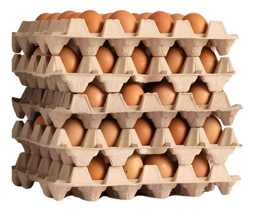 Caja De Huevos De Gallina Libre 100 Unidades