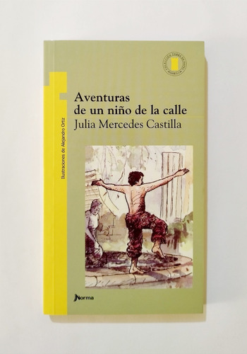 Aventuras De Un Niño De La Calle - Julia Mercedes Castilla