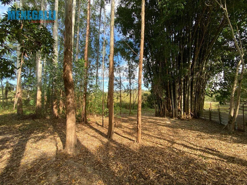 Imagem 17 de 17 de Chácara - Floresta Escura - São Pedro/sp - Ch0069