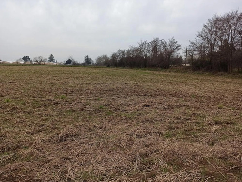 Terreno Agrícola En Venta, Campo De 21 Ha, San Clemente