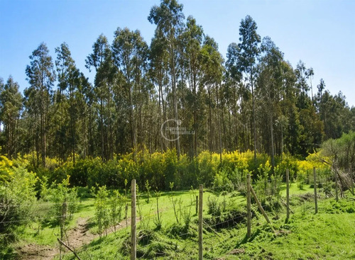 Parcela En Venta En Bulnes