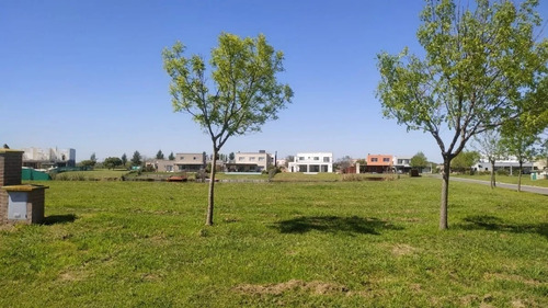Imagen 5 de 5 de Terreno En Venta Ubicado En Alba Nueva, Zona Norte