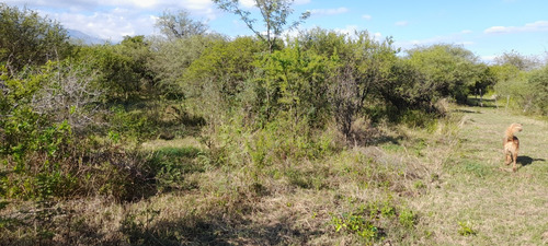 Lote, Terreno En Traslasierra, Córdoba. Los Pozos