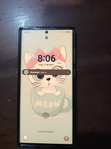 Samsung S22 Ultra Snapdragon (Usado)