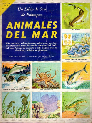 Un Libro De Oro De Etampas Galería Animales Del Mar