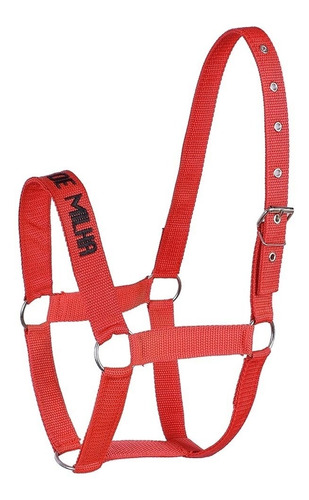 Cabresto Para Cavalo Em Nylon Vermelho Quarto De Milha Com C