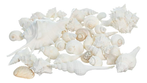 Mezcla Decorativa Blanca De Conchas Marinas | 2 Libras De Co