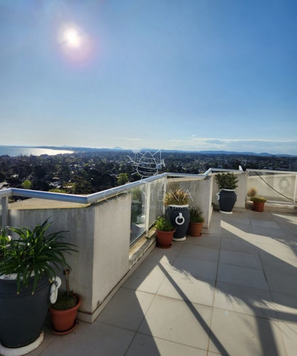 Imagen 4 de 15 de Hermoso Apartamento - Codigo 5419