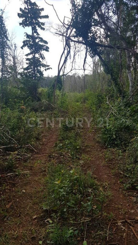 Terreno En Tekax 120 Hectáreas Propiedad Privada. Tekax Yucatán.