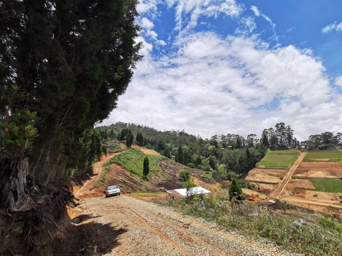 Venta Lote En Guarne Proyecto