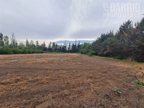 Sitio En Venta En Colina