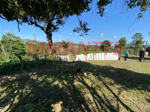 Imagem 16 de 18 de Terreno Em São Vicente - Mairiporã, Sp - 371687