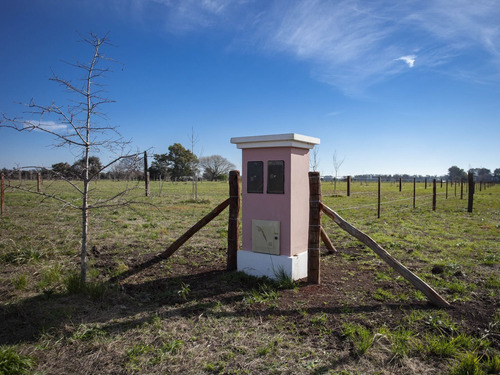 Imagen 4 de 5 de Terreno En Venta En Altos De Areco