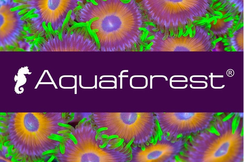 Imagen 6 de 9 de Sal Marina Reef Probiótica 10k Aquaforest Acuario Marino