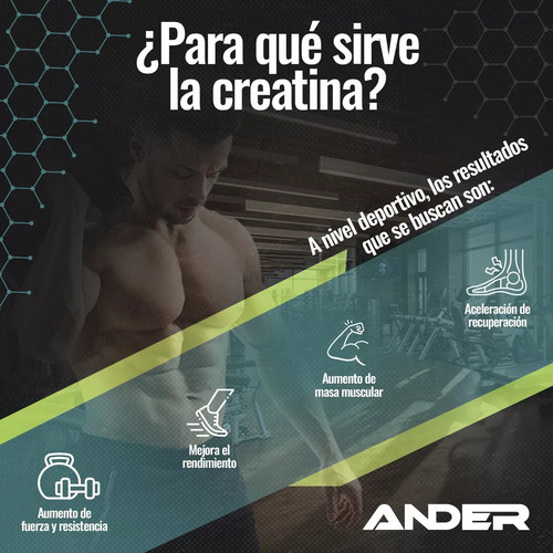 Creatina Monohidratada 100% Pura Formula Alemana 400gr Ander