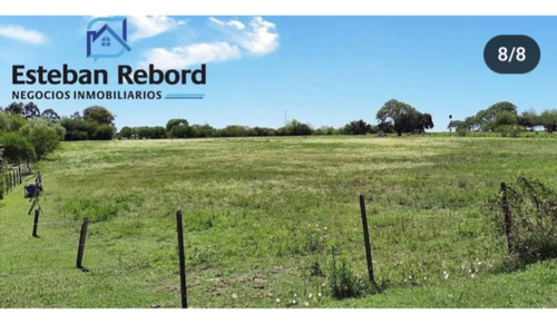 Se Vende Campo De 22;500 M2 Entré Colon Y San José