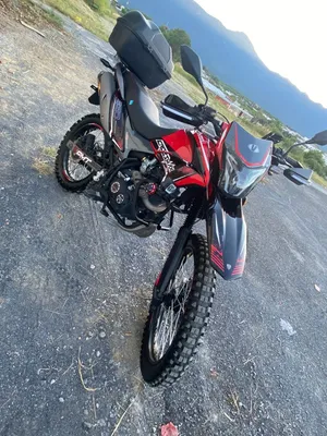 Vento 2024