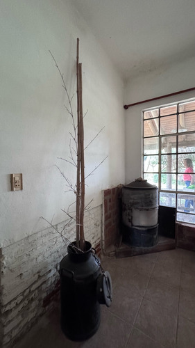 Vende Casa De Campo Con 3 Hectareas