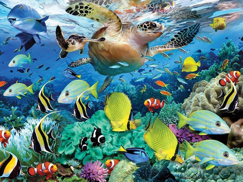 Puzzle Prime 3d El Viaje Comienza 500 Piezas Art 10069