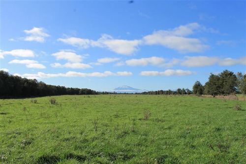 Imagen 28 de 30 de Agrícola En Venta En Puerto Varas