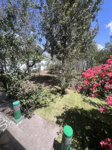 Vendo El Mejor Terreno De Bosques De Viena
