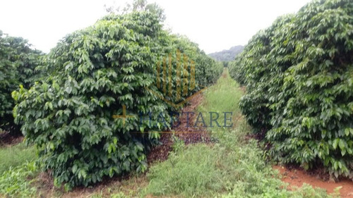 Imagem 8 de 15 de Fazenda Para Venda Em Ouro Fino, - - Fazenda 0_1-2221666