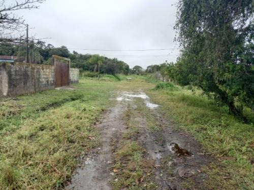 Imagem 4 de 4 de Terreno À Venda A 500 M Da Rodovia Em Itanhaém. 8486