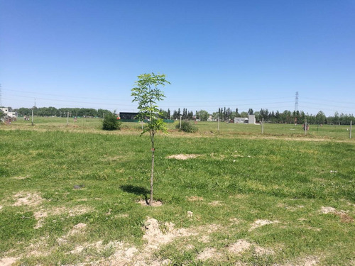 Imagen 1 de 6 de Lote De 612 M2, Interno, Fondo Al Bosque En El Barrio Santa Isabel, Etapa 2.