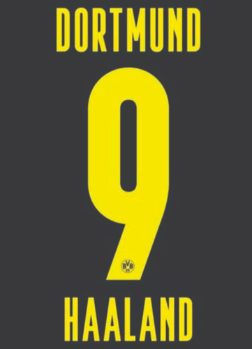 Estampado Dortmund 2020/21 #9 Haaland - En El Acto