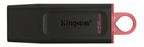 Kingston Usb Dtexodia 256gb Usb 3.2 Gen 1 (dtx/256gb)