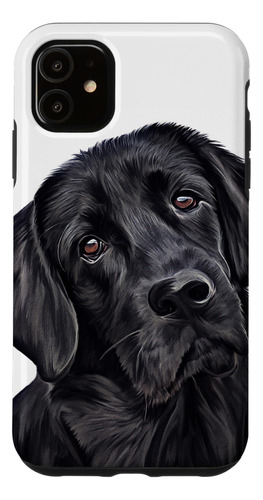 Funda De Regalo Para Perros De Laboratorio B08cp4t56k_290324