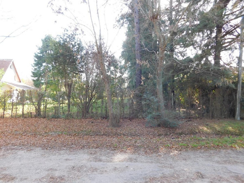 Imagen 13 de 21 de Venta Lote - Parquizado Y Con Perímetro- Parque Exaltación - Exaltacion De La Cruz