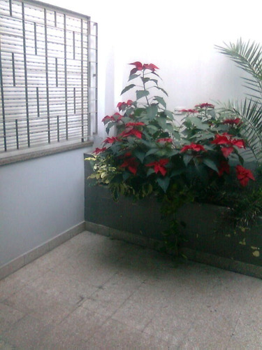 Imagen 5 de 11 de Casa Dto 3 Amb/local/garaje/ P.alta Loza A Terminar