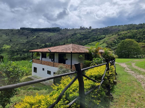 Imagen 5 de 14 de En Venta Hermosa Granja Sector Los Ranchos Vías Las Guamas