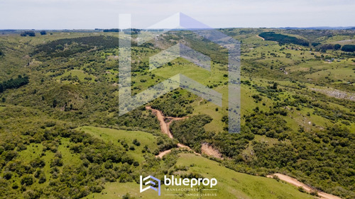 Promo! Desde 30% De Descuento En Tu Chacra: Sierras Del Eden; Chacras De 5 Has A 17 Minutos De Pueblo Edén!